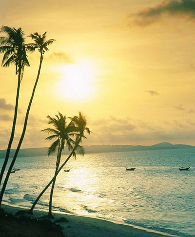 1360203458-ve-dep-mien-trung--15--20130215105230-n6q1gtbbqu