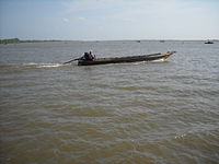 Vỏ vot trên song hau