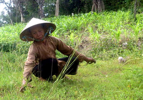 images1183598_Nhung_chuyen_truyen_ky_duoi_chan_deo_An_Khe_datviet.vn_2